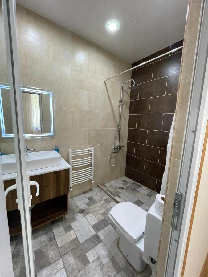 Serenity Likani Villa Hotel Borjomi Ngoại thất bức ảnh