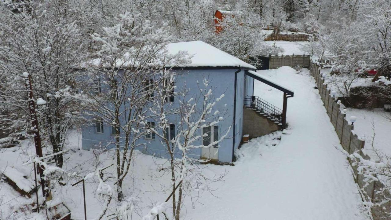 Serenity Likani Villa Hotel Borjomi Ngoại thất bức ảnh