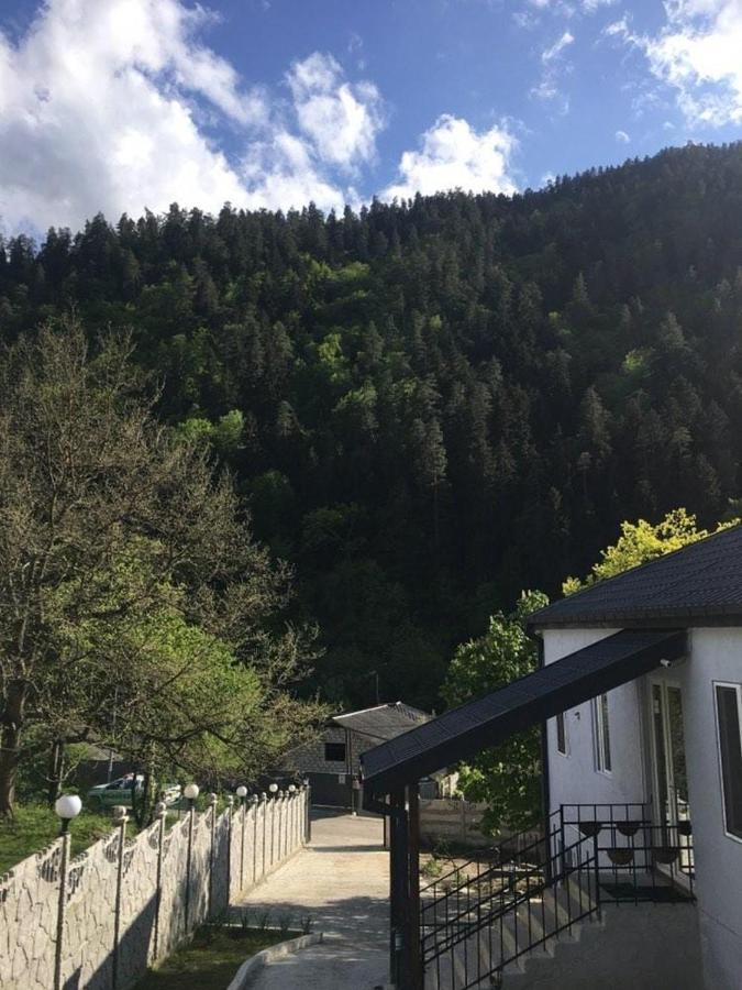 Serenity Likani Villa Hotel Borjomi Ngoại thất bức ảnh